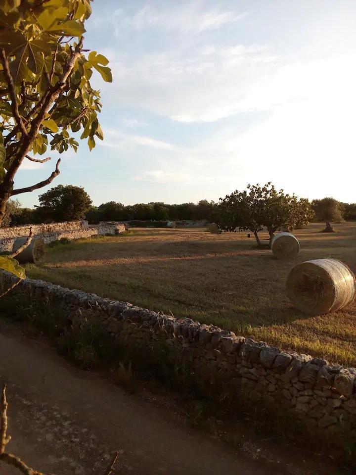 Masseria Fra Diavolo Guest House Castellana Grotte Bagian luar foto