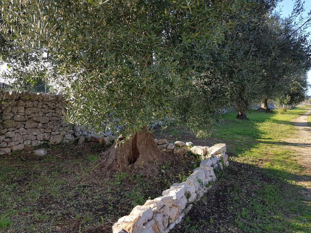 Masseria Fra Diavolo Guest House Castellana Grotte Bagian luar foto
