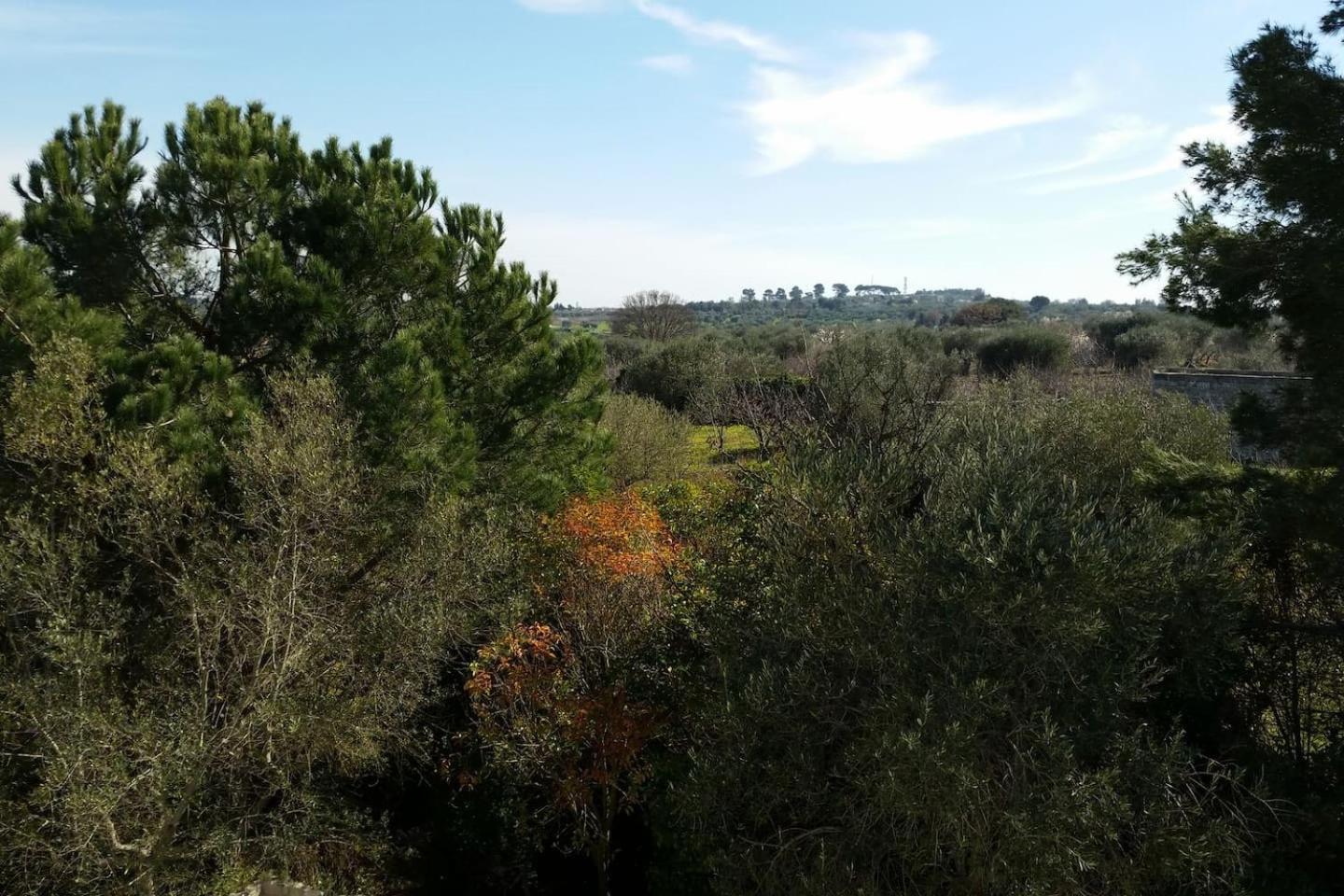 Masseria Fra Diavolo Guest House Castellana Grotte Bagian luar foto